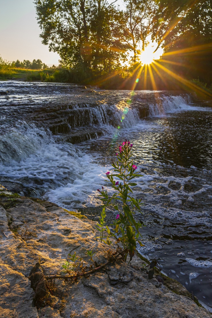Kostenlose Foto wasserfall im wald während des sonnenuntergangs