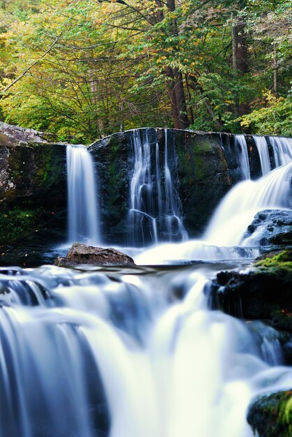 Wasserfall im Wald