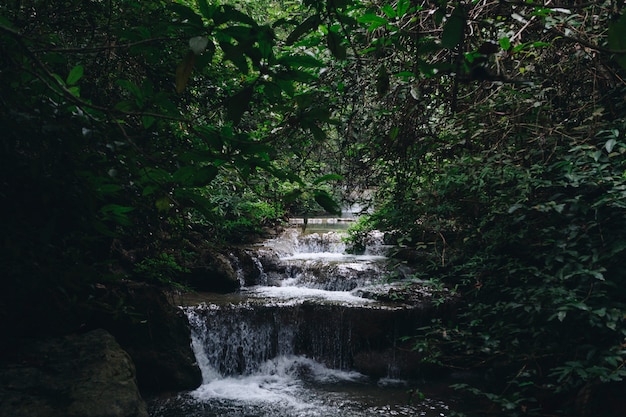 Kostenloses Foto wasserfall landschaft