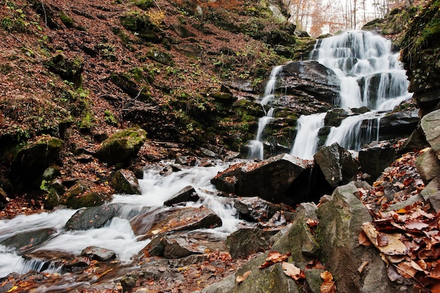 Wasserfall Shypit auf Borzhava Pylypets Dorf auf Karpaten Ukraine Europa Erstaunlicher Wasserfall der Welt im Herbstwald Schönheit der Welt