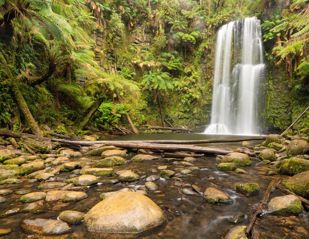 Wasserfall umgeben von Grün und Felsen unter dem Sonnenlicht in einem Wald