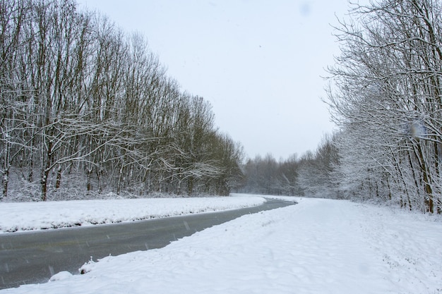 Wasserstrom mitten in schneebedeckten Feldern mit schneebedeckten Bäumen