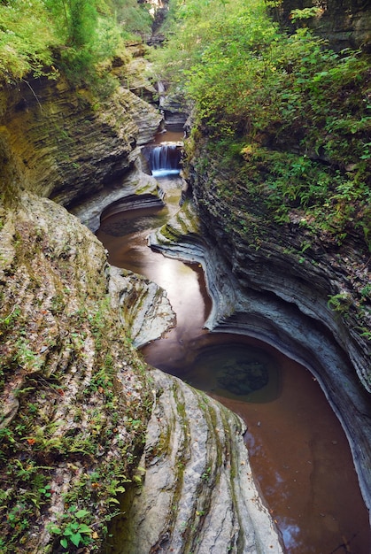 Kostenloses Foto watkins glen