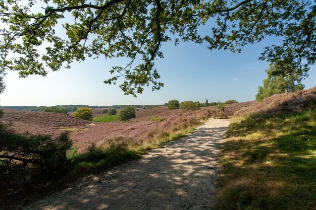 Weg mitten in Hügeln unter blauem Himmel