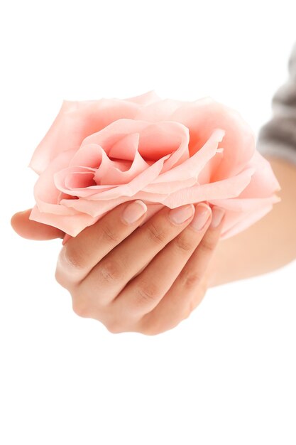 Weibliche Hände mit rosa Rose. Weiblichkeitskonzept
