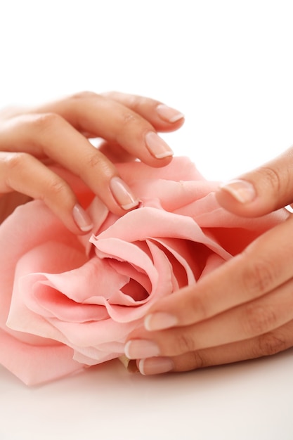 Weibliche Hände mit rosa Rose. Weiblichkeitskonzept