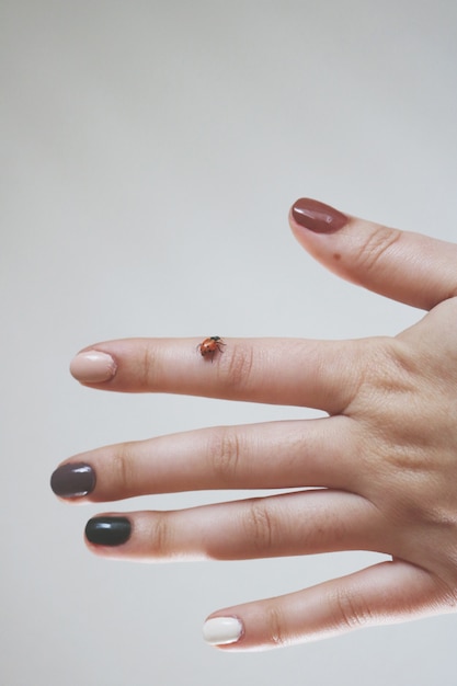 Weibliche Hand mit einem Marienkäfer