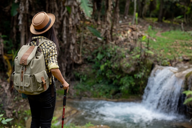 Weibliche Touristen genießen den Wald.