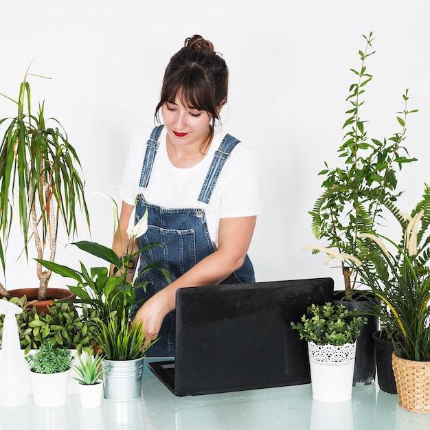 Weiblicher Florist, der um Topfpflanzen mit Laptop auf Schreibtisch sich kümmert