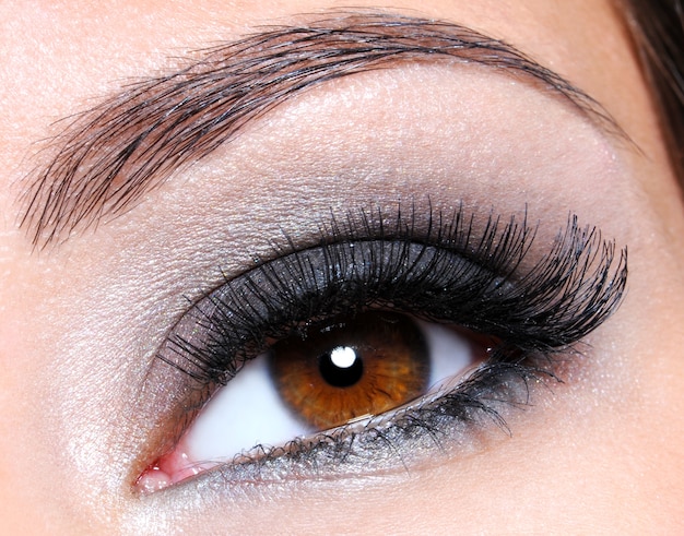 Weibliches Auge mit dunkelbraunem Glamour-Make-up - Makroaufnahme