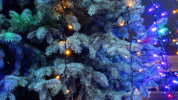 Weihnachtsbaum mit Lichtern in der Nacht