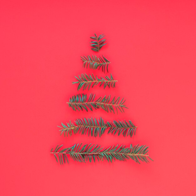 Weihnachtsbaum von den Tannenbaumasten