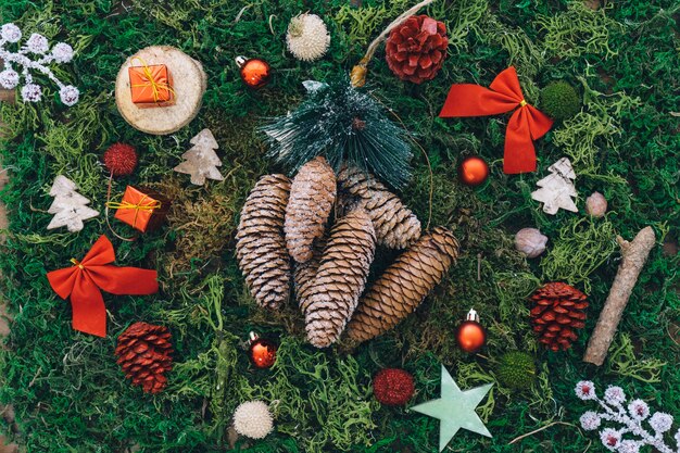 Weihnachtsdekoration auf Gras mit Tannenzapfen
