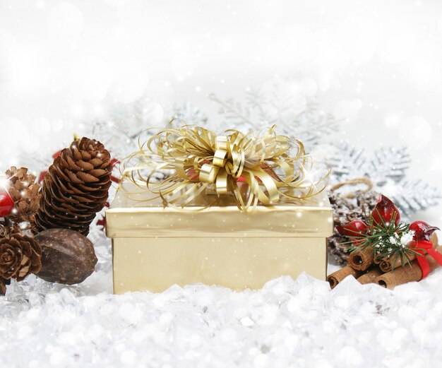 Weihnachtsgeschenk eingebettet im Schnee mit Tannenzapfen und cinammon