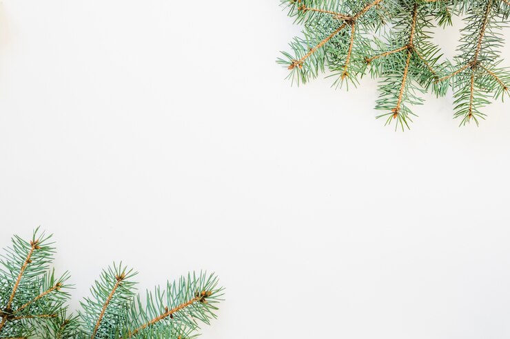 Kostenlose Foto weihnachtshintergrund mit zwei tannenzweigen