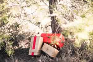 Kostenloses Foto weihnachtskästen unter baum