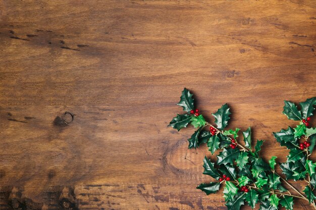 Weihnachtskomposition mit Mistel und Platz