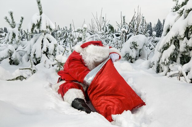 Weihnachtsmann mit seinem Sack