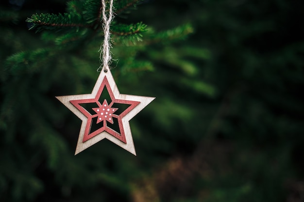 Weihnachtsstern am Weihnachtsbaum gehängt