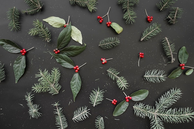 Kostenloses Foto weihnachtszusammensetzung von grünen niederlassungen