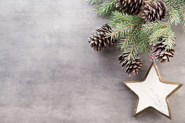 Bilder – Weihnachtszweige | Gratis Vektoren, Fotos und PSDs