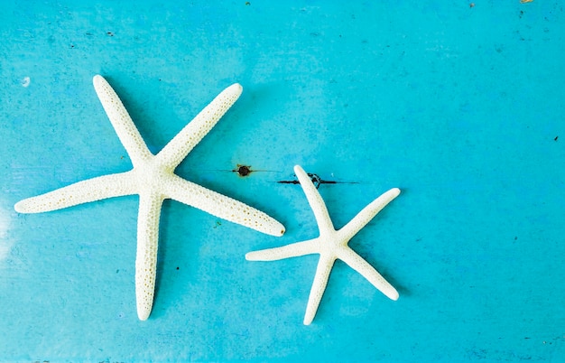Weiß zwei Starfish auf Türkishintergrund