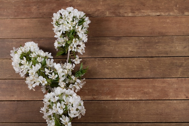 Weiße Blume auf Holzuntergrund