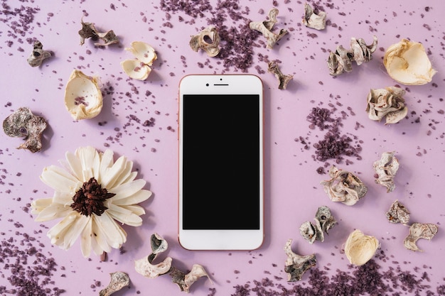 Weiße Blume; Peeling und getrocknete Pod um das Smartphone vor rosa Hintergrund