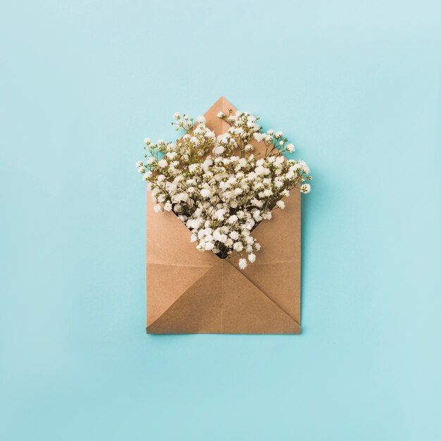 Weiße Blumen im Umschlag