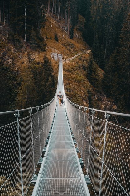 Weiße Brücke im Wald