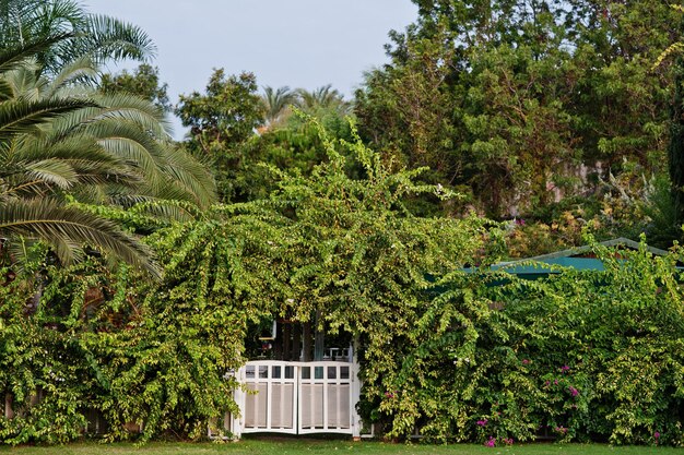 Weiße Holztore mit Bäumen im Tropical Park Resort in der Türkei