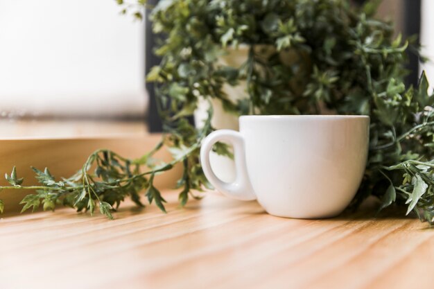 Weiße Kaffeetasse mit Topfpflanze auf hölzerner Tischplatte