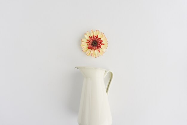 Weiße Oberfläche mit Blume und Vase