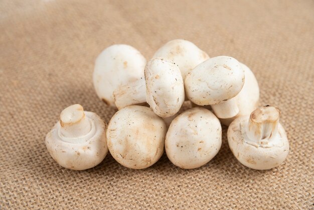 Weiße Pilze isoliert auf einem Stück Sackleinen.