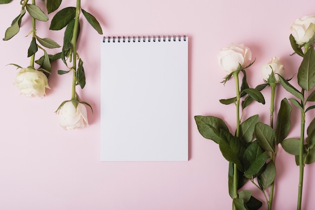 Weiße Rosen mit leerem gewundenem Notizblock gegen rosa Hintergrund