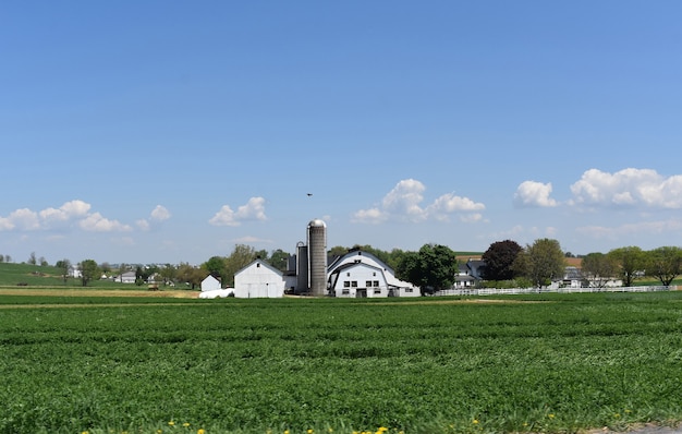 Kostenloses Foto weiße scheunen und silos umgeben von üppiger grüner vegetation.