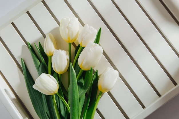 Weiße tulpen auf weißem hintergrund mit morgensonne. stilvolle lifestyle-kompositionen.
