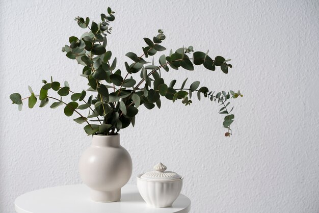 Weiße Vase mit Eukalyptus auf weißem Tisch