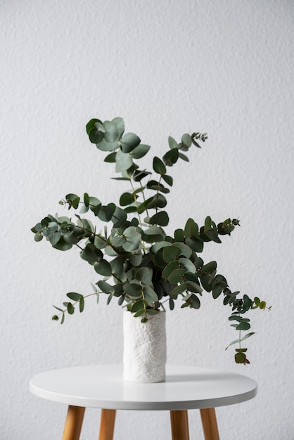 Weiße Vase mit Eukalyptushintergrund