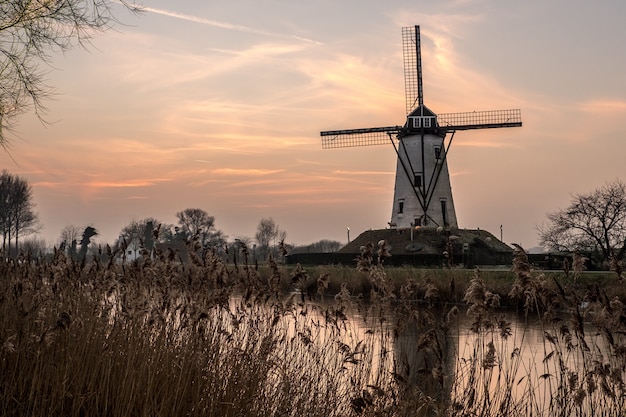 Weiße Windmühle in der Nähe des Sees, umgeben von Gras unter dem schönen Himmel