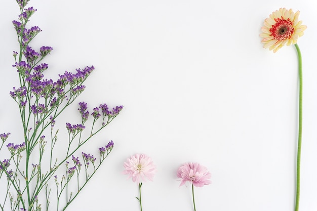 Weißer Hintergrund mit verschiedenen Blumen