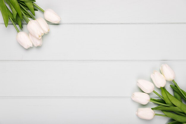 Weißer Tulpenrahmen mit Kopieraum