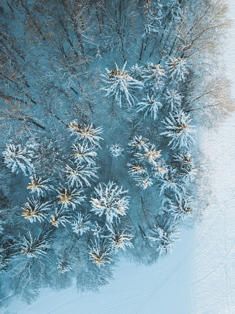 Weißer Winterwald von oben