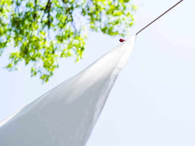 Weißes Blatt der Nahaufnahme, das auf der Linie trocknet