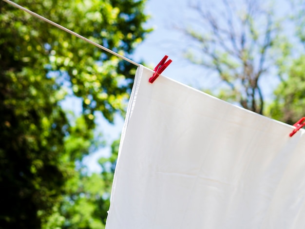 Weißes Blatt der Nahaufnahme, das auf der Linie trocknet