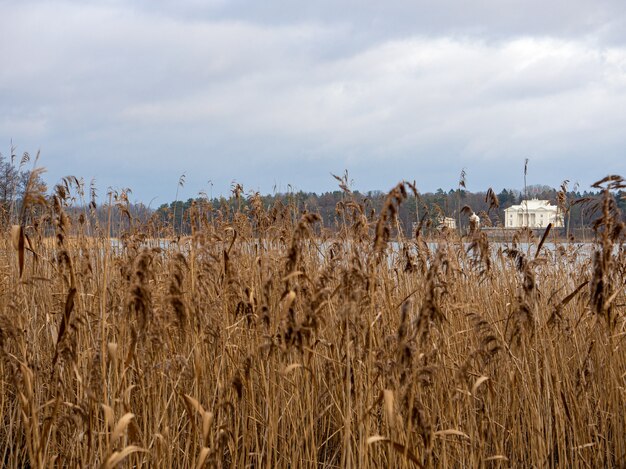 Weißes Gebäude hinter einem See mit getrocknetem Gras im Vordergrund