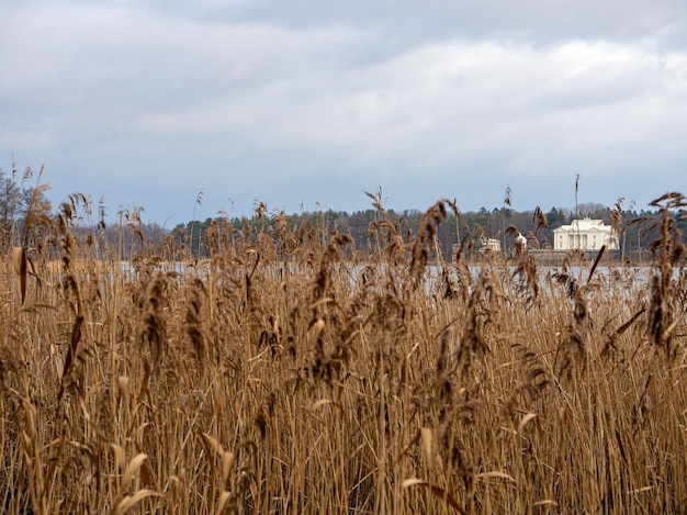 Weißes Gebäude hinter einem See mit getrocknetem Gras im Vordergrund