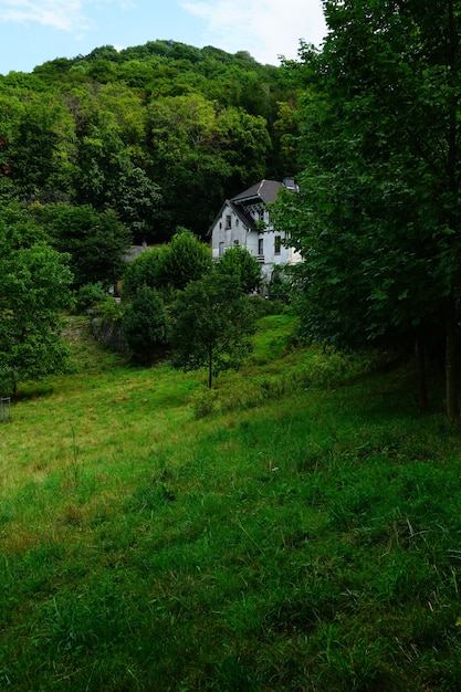 Weißes Haus im Wald voller grüner Bäume