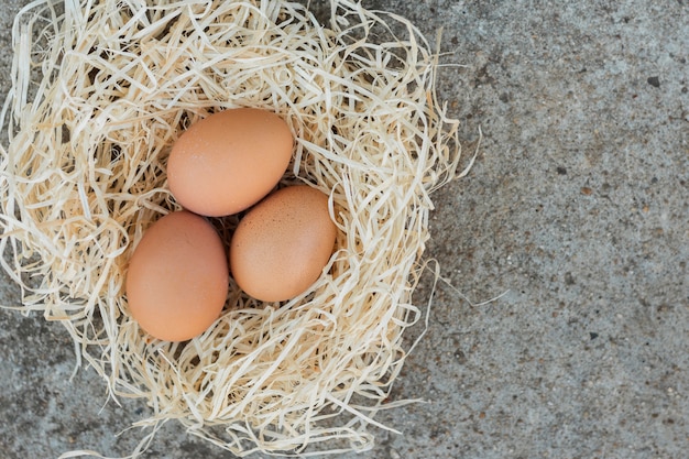 Weißes Nest gefüllt mit braunen Eiern
