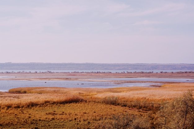 Weite Gebiete, die im Winter von ausgetrocknetem Gras mit dem Meer bedeckt sind